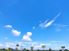 -麦当劳(电白服务区店)