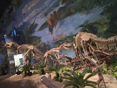 -自贡恐龙博物馆