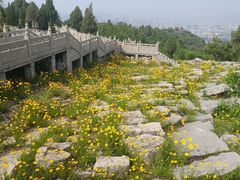 -原山国家森林公园