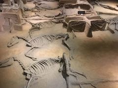 -洛阳周王城天子驾六博物馆