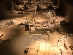 -洛阳周王城天子驾六博物馆