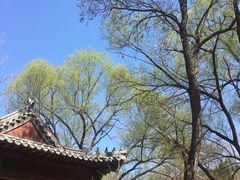 -井塘古村
