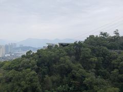 -金鸡山公园