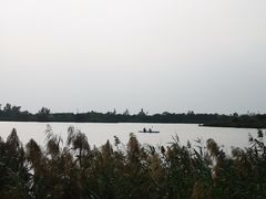 -芒洲湿地公园