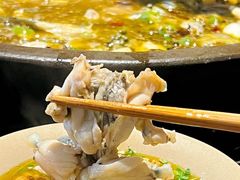 -石锅苗苗鱼(武汉首店)