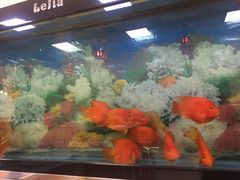 -胖姐烧烤(总店)