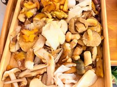 -一朵菌·野生菌探索家火锅(南亚店)