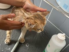 -宠颐生动物医院·心脏科·保险定点(锦阳分院)