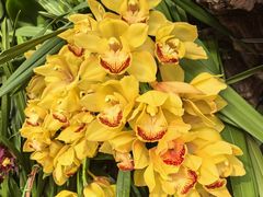 -北京植物园-展览温室