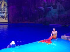 -芜湖新华联大白鲸海洋公园