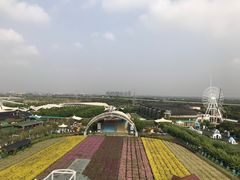 -百万葵园