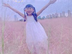 -映月湖中央公园