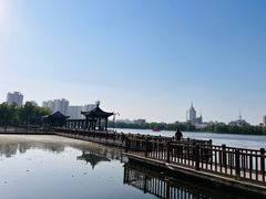-莲花池公园