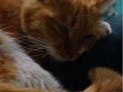 iphone_upload_pic-Sirena海妖日咖夜酒