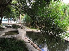 -活水公园