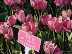 -厦门园林博览苑
