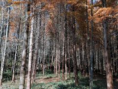 -小格里自然风景区