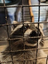 -酷嗒动物文化乐园(cutezoo西溪乐天城店)