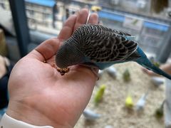 -怪兽屋·羊驼·猫咖·狗咖(俊华广场店)