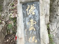 -塔云山