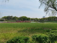 -金银湖国家城市湿地公园