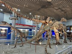 -国家自然博物馆