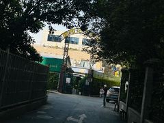 -曲阳花鸟市场(曲阳路店)