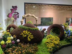 -杭州植物园