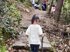 -青龙山国家森林公园