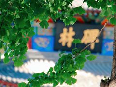 -西安碑林博物馆