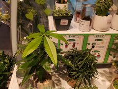 -blt精品超市(KKMALL京基店)