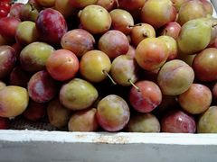 -港华水果街(港华广场店)