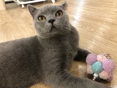 -iF摄影•全家福•证件照•形象照(南山店)