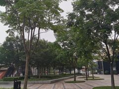 -活水公园