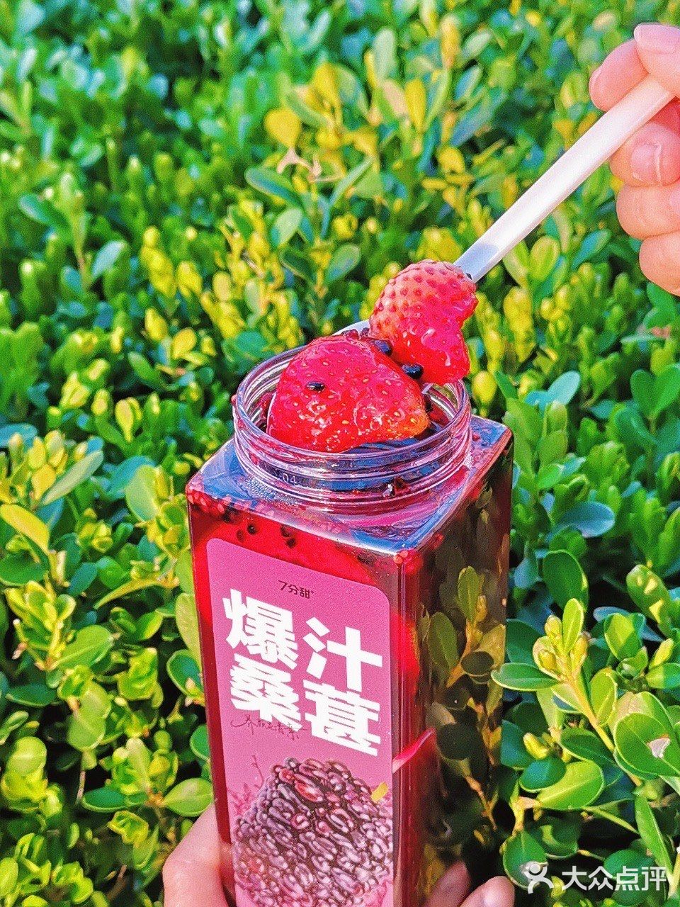 你不会还没有喝过7分甜桑葚系列吧！