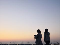-枸杞岛