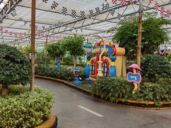 -南宫五洲植物乐园