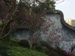 -乌山风景区