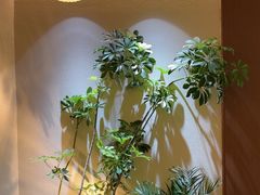 -奈雪的茶(石家庄万象城店)