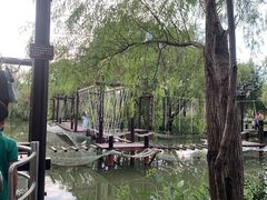-长兴太湖图影湿地文化园