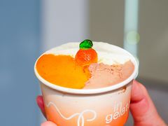 -Dip in Gelato(富民路店)