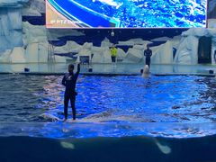 -福州罗源湾海洋世界旅游区