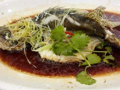 -渔民新村(番禺总店)