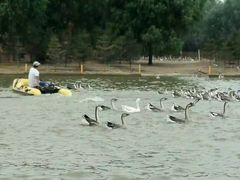 -泰安地下龙宫景区