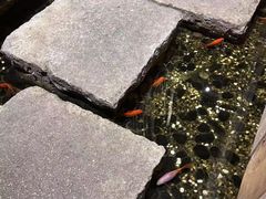 -邈墨茶馆(凤起路店)