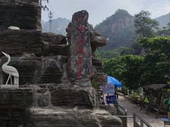 -大岭沟猕猴桃谷风景区