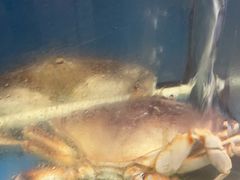 -渔中舟海鲜大排档(普陀沈家门店)