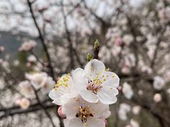 -居庸关长城