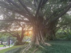 -南宁南湖公园