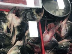 -潮信鱼头王(西环店)